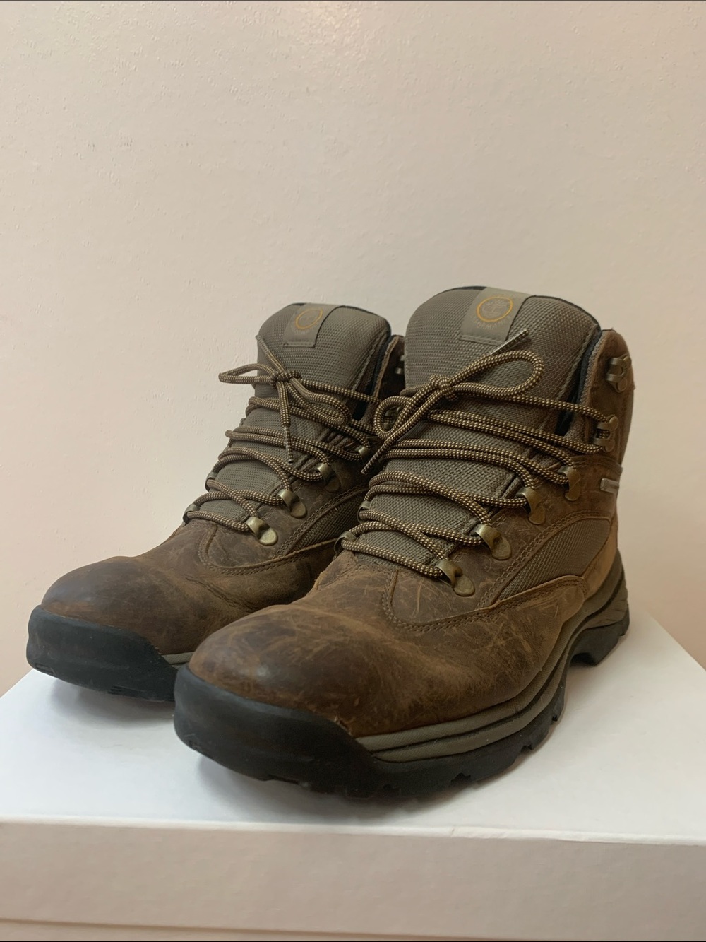Timberland White Ledge Mid Hiking Boot